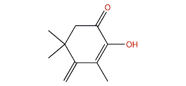 2-Hydroxy-3,5,5-trimethyl-4-methylene-cyclohex-2-en-1-one
