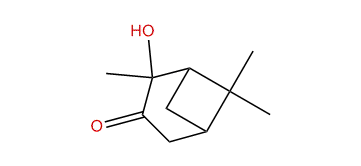 2-Hydroxypinan-3-one