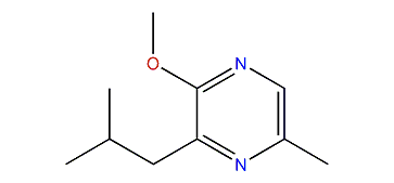 2-Isobutyl-3-methoxy-6-methylpyrazine
