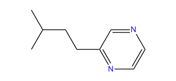 2-Isopentylpyrazine