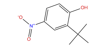 2-tert-Butyl-4-nitrophenol