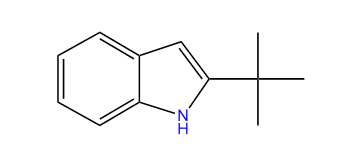 2-tert-Butyl-1H-indole