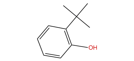 2-tert-Butylphenol