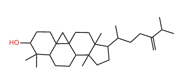 24-Methylenecycloartanol