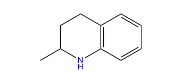 2-Methyl-1,2,3,4-tetrahydroquinoline