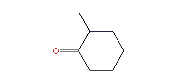 2-Methylcyclohexanone