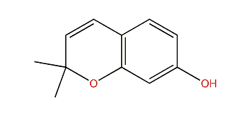 2,2-Dimethyl-2H-chromen-7-ol