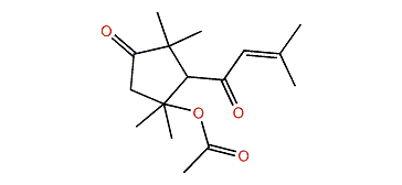 2,2,4,4-Tetramethyl-3-isopent-2-enoyl-4-acetoxycyclopentan-1-one