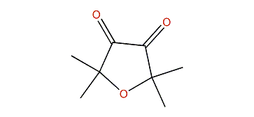 2,2,5,5-Tetramethyl-3,4(2H,5H)-furandione
