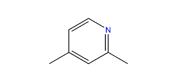 2,4-Dimethylpyridine