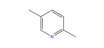 2,5-Dimethylpyridine