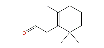 2,6,6-Trimethyl-1-cyclohexene-1-acetaldehyde