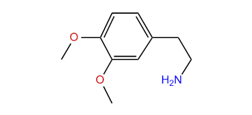 3,4-Dimethoxyphenethylamine