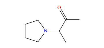 3-(1-Pyrrolidinyl)-butan-2-one