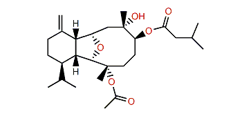 3-Acetoxy-6-(3-methyIbutanoyloxy)-cladiell-11(17)-en-7-ol