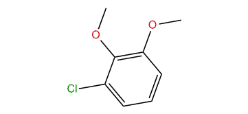 1-Chloro-2,3-dimethoxybenzene