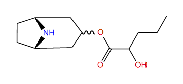 3-(Hydroxypentanoyloxy)-nortropane