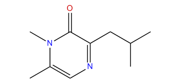 3-Isobutyl-1,6-dimethylpyrazin-2(1H)-one