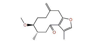 3-Methoxy-10(15)-dihydrofuranodien-6-one