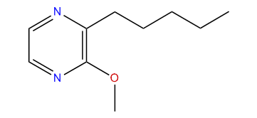 3-Methoxy-2-pentylpyrazine