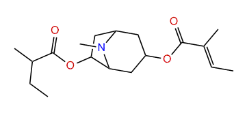 3-Tigloyloxy-6-(2-methylbutyryloxy)-tropane