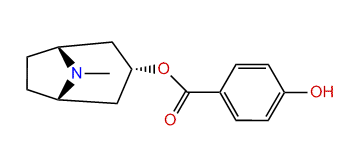 3alpha-(4-Hydroxybenzoyloxy)-tropane