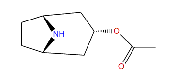 3alpha-Acetoxynortropane