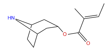 3alpha-Tigloyloxynortropane