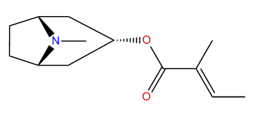 3alpha-Tigloyloxytropane