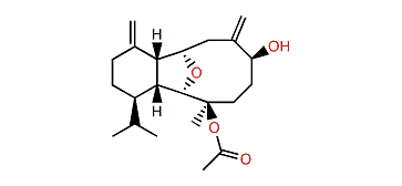 3b-Acetoxycladiell-7(16),11(17)-dien-6b-ol