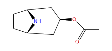 3beta-Acetoxynortropane