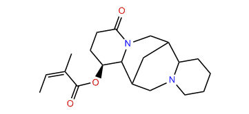 3beta-Angeloyloxylupanine