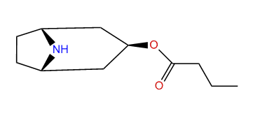 3beta-N-Butyroxynortropane