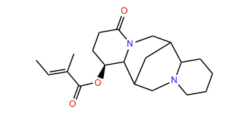 3beta-Tigloyloxylupanine