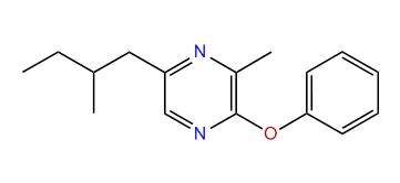 3-Methyl-5-(2-methylbutyl)-2-phenoxypyrazine