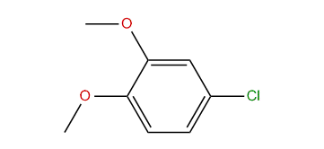 4-Chloro-1,2-dimethoxybenzene