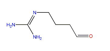 4-Guanidinobutanal