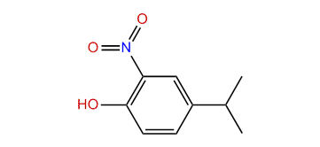 4-Isopropyl-2-nitrophenol