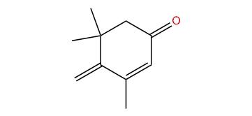 3,5,5-Trimethyl-4-methylene-2-cyclohexen-1-one