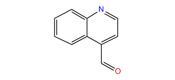 4-Quinolinecarbaldehyde