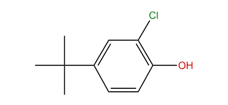 4-tert-Butyl-2-chlorophenol