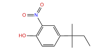 4-tert-Pentyl-2-nitrophenol