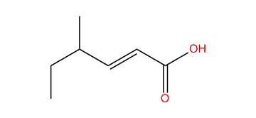 4-Methyl-2-hexenoic acid