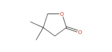 4,4-Dimethyldihydro-2(3H)-furanone