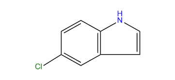 5-Chloroindole