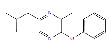 5-Isobutyl-3-methyl-2-phenoxypyrazine