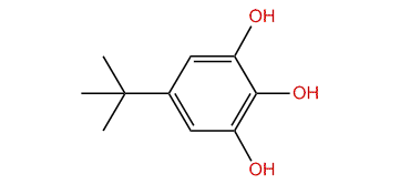 5-tert-Butyl-1,2,3-benzenetriol