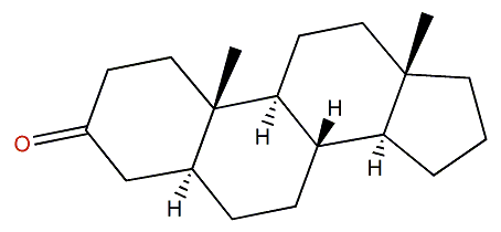 5alpha-Androstan-3-one