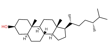 5alpha-Ergostan-3beta-ol