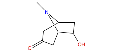 6-Hydroxytropinone